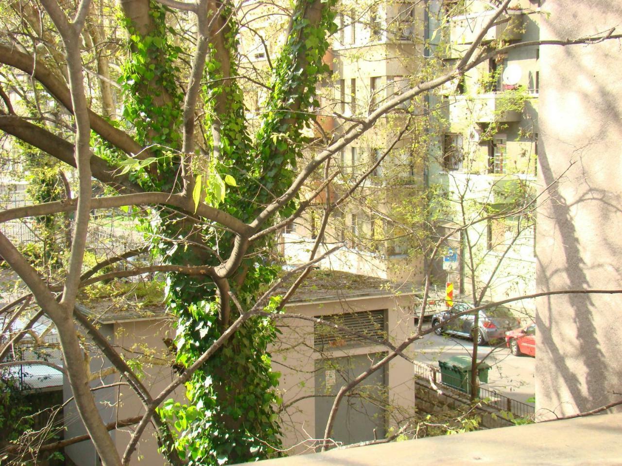 My Sun Apartment Rijeka Luaran gambar